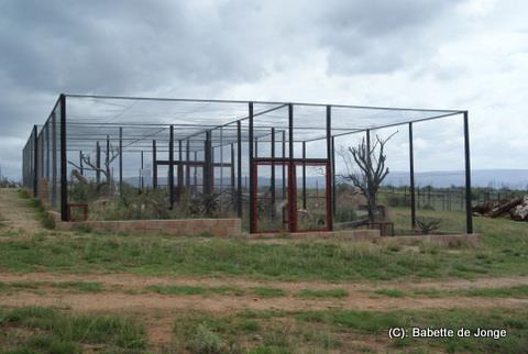 serval enclosure