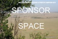 The Wild Cats World “Sponsor Space” Campaign 2015