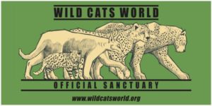 Wild Cats World - Official Sanctuary