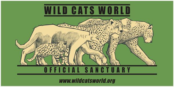 Wild Cats World - Official Sanctuary