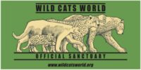 Come and volunteer at Wild Cats World