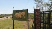 Up-date Wild Cats World Sanctuary