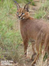 The latest news from the sanctuary